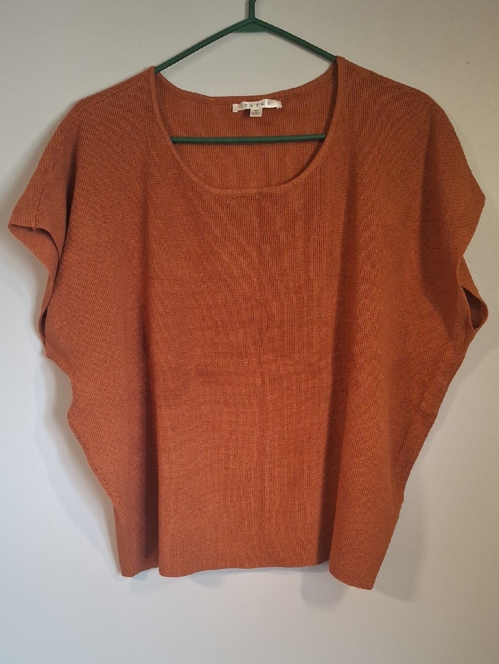 CYRUS Rayon Blend Knit Top Rust Orange Terracotta Crewneck Sweater XL